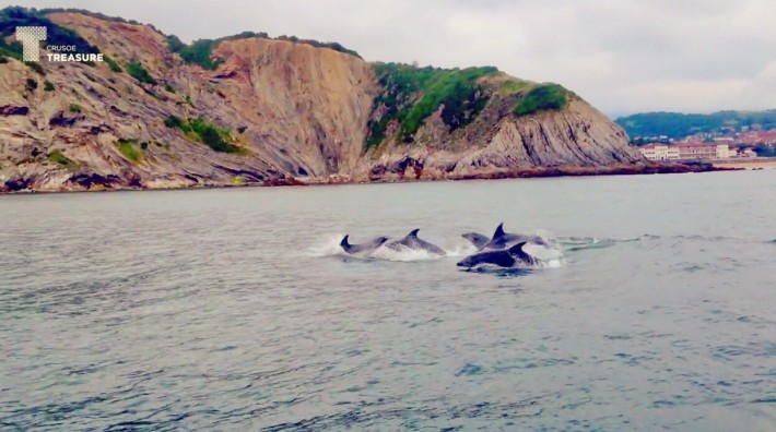 Bailando con delfines en Crusoe Treasure
